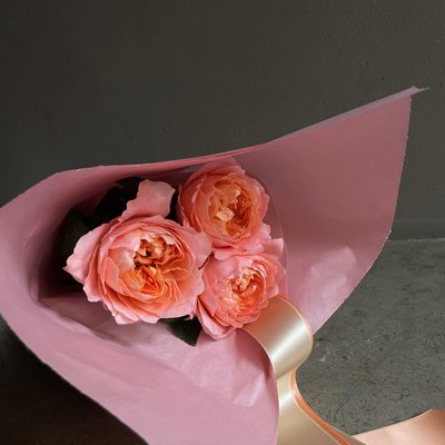 Les 3 Amoureux Pastel