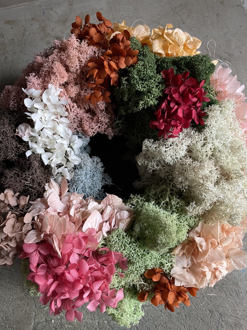 Camouflage Montagne M